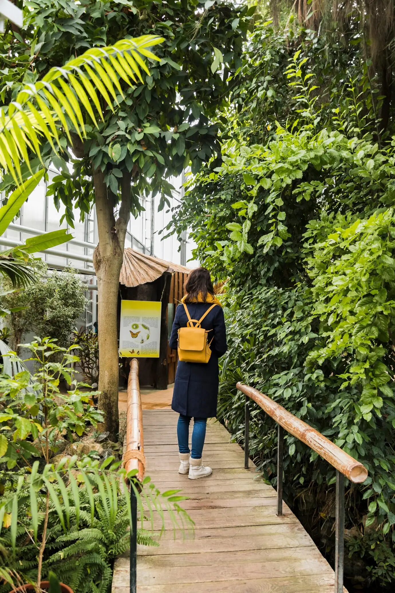 Bitte sende mir die Originalbeschreibung, die ich auf Deutsch umformulieren soll.